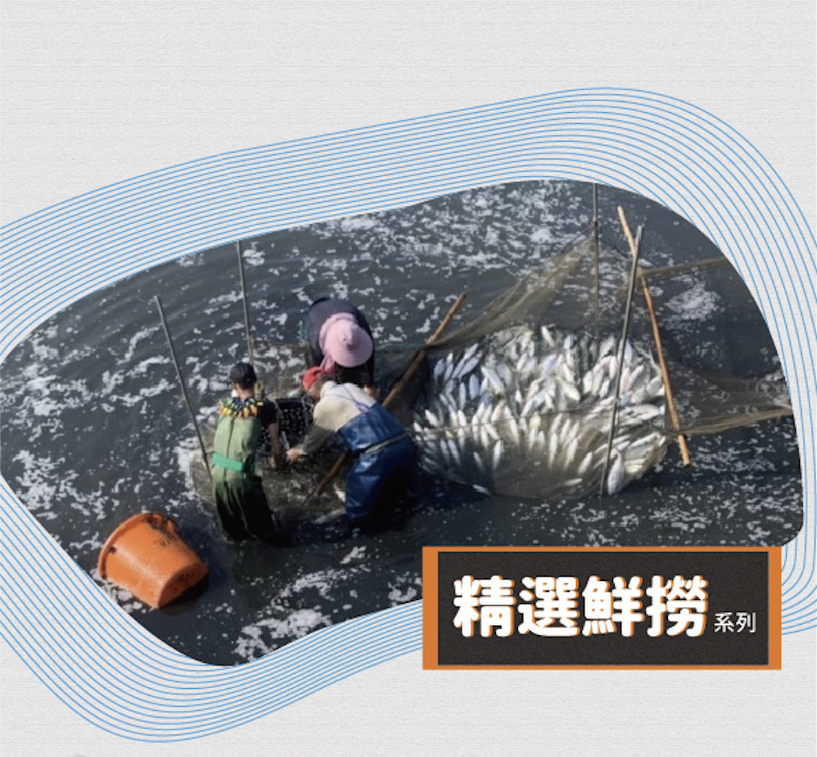 精選鮮撈系列